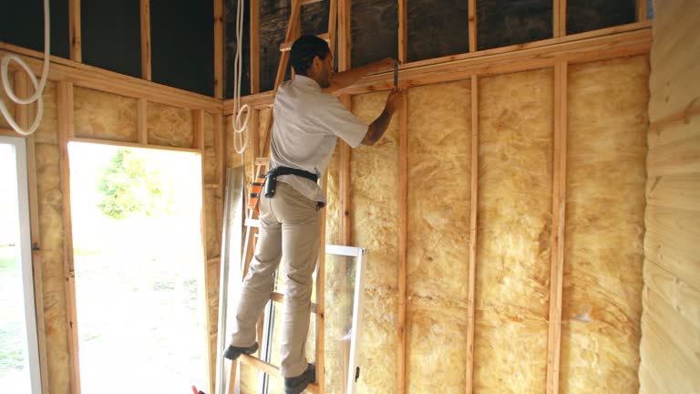 Best Basement Insulation  in Parsons, TN